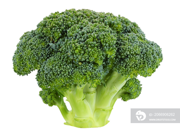 broccoli isolated on white background