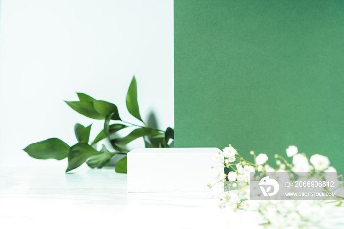 Natural cosmetics beauty product presentation scene made with green leaves and white pedestal, front view.