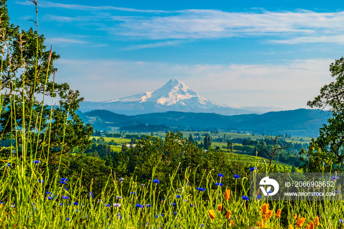 Beautiful Clear Skies Over Mount Hood in Oregon