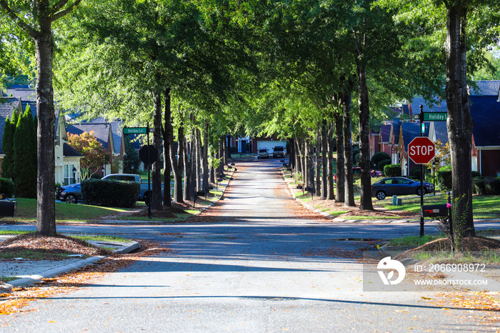 a long smooth street in a neighborhood surrounded by green grass and lush green and autumn colored trees in Atlanta Georgia USA