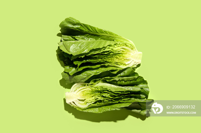 Fresh romaine lettuce on color background