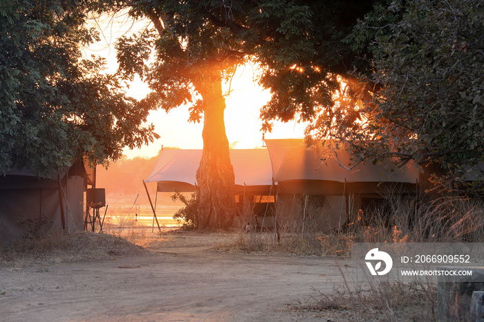 Sunrise on Tent in safari camp