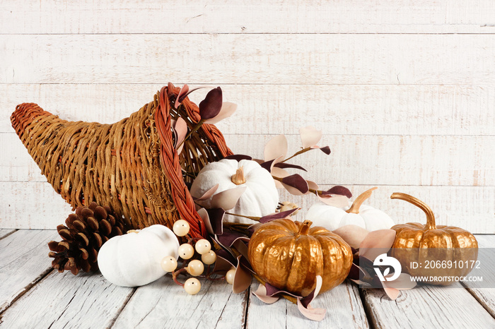 Thanksgiving cornucopia filled with white and gold pumpkins against a white wood background