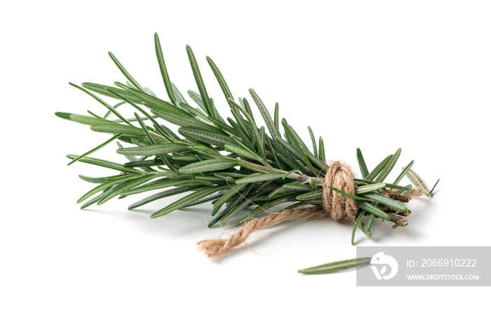 rosemary isolated on white background