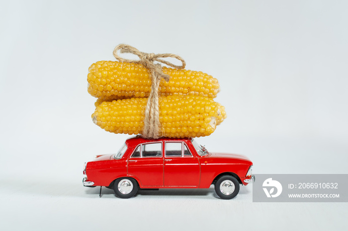 Red toy car with small corn cobs on the roof