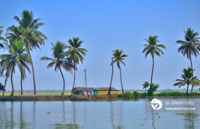 Kerala backwaters near alleppey