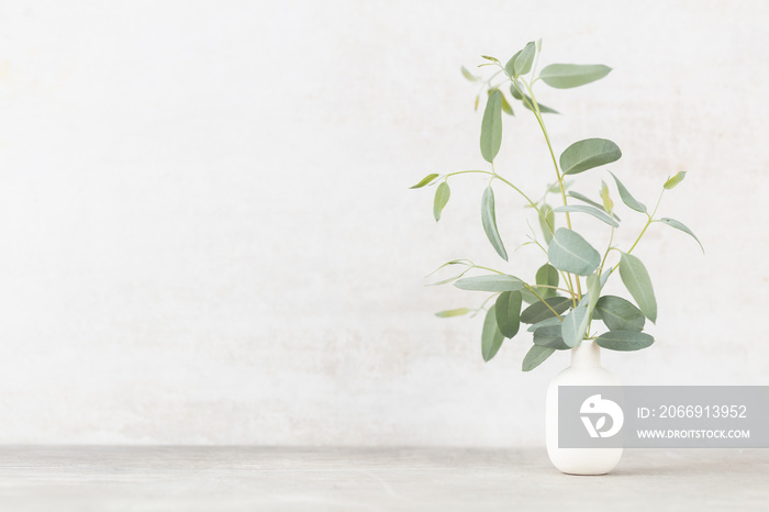 Green eucalyptus leaves in vase. Front view. Place for text, copy space, mockup.