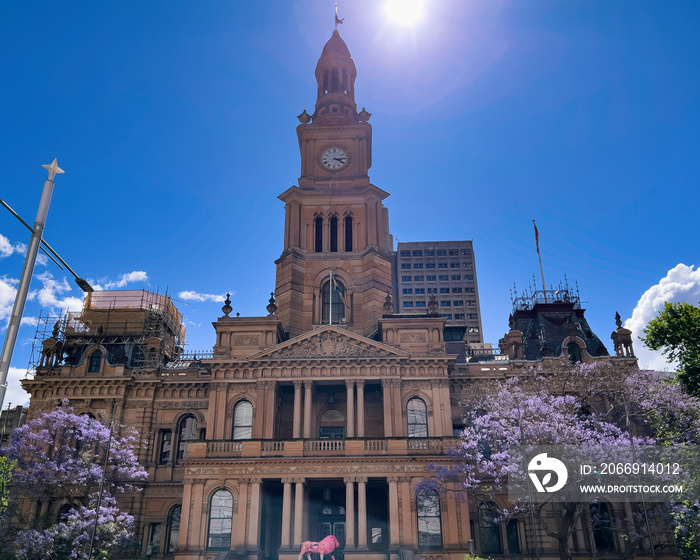 historic Paddington Town Hall clock tower under blue sky