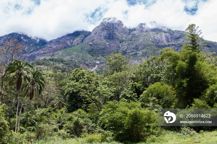 Cloudy sky over Mount Mulanje with the forest at the foot of the mountain.