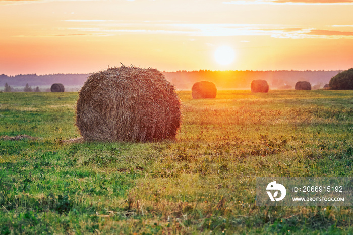 Sheaves of hay in the light of the setting sun in warm summer evening in the countryside