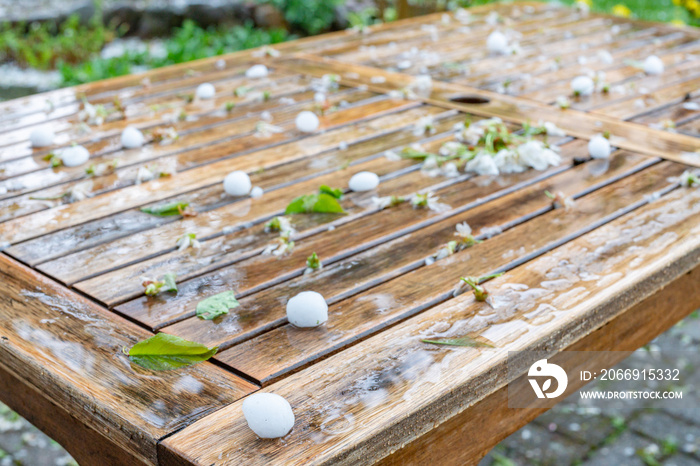 Klimaveränderung Hagelschauer im Frühling im Garten