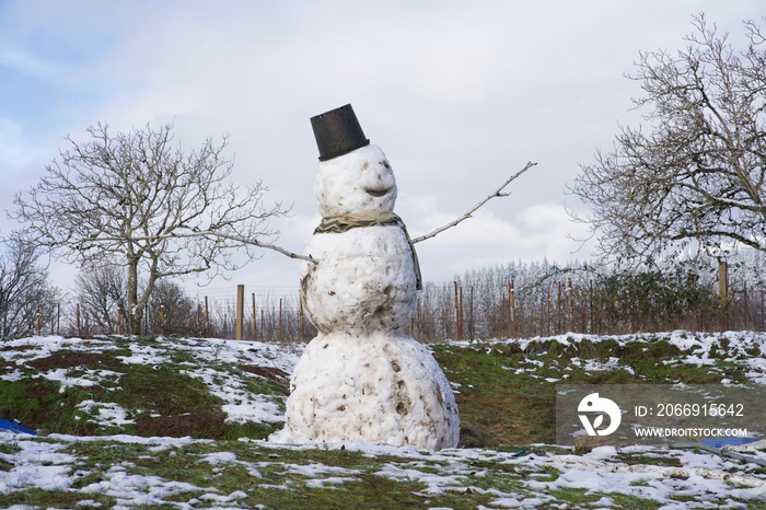 melting snowman in the snow