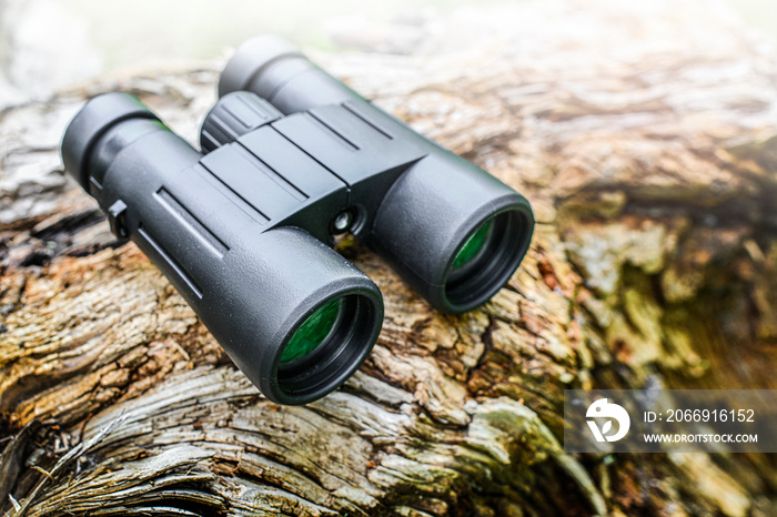 BBinocular on wooden background, watching or looking equipment technology. Binoculars in forest concept