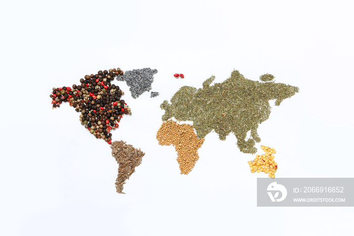 Map of world made from different kinds of spices