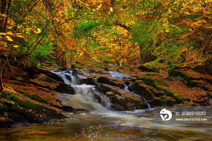 Autumn colour with the river at the Birks of Aberfeldy in Perthshire, Scotland.