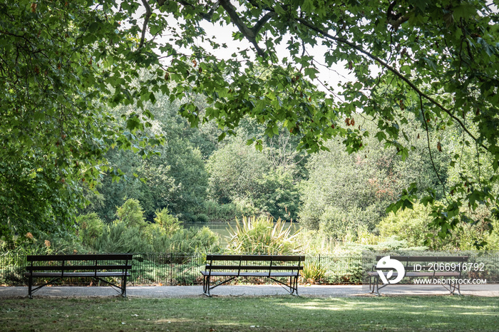 Empty benches in Battersea Park, south west London