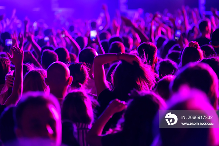 Crowd of fans cheering at open-air music festival