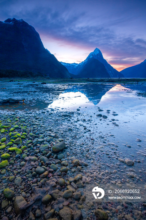 Green stone at milford sound New Zealand.