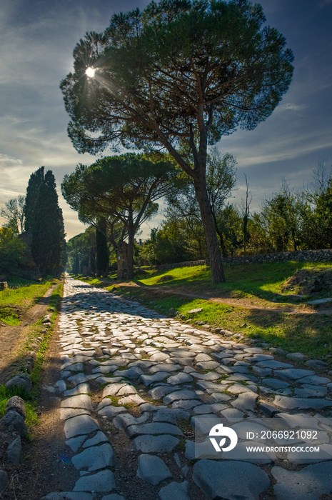 Via Appia Antica during sunset - Rome, Italy