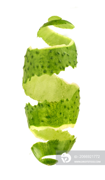 cucumber skin on white background