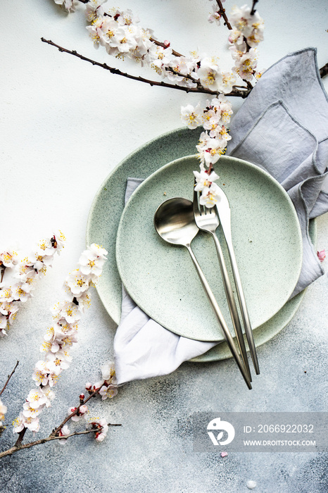 Minimalistic table setting with apricot blossom