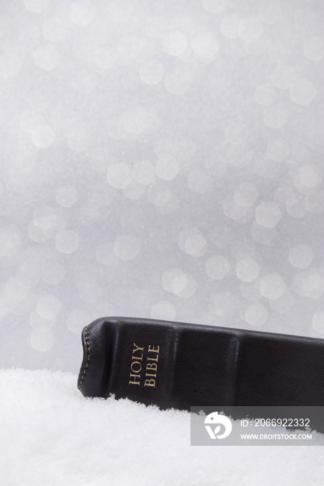 Jesus is the Reason for the Season - Bible on a Bed of Snow