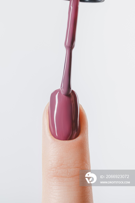 cropped view of woman applying lilac pastel nail polish on fingernail isolated on grey