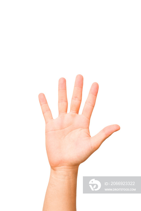 caucasian hands gesturing isolated on a white background