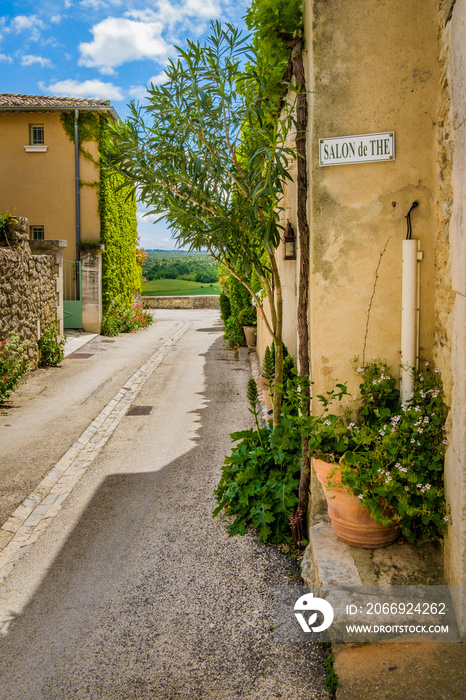 The beautiful and green narrow streets of the medieval village of Lussan, with old stone house and vines, in the south of France (Gard)