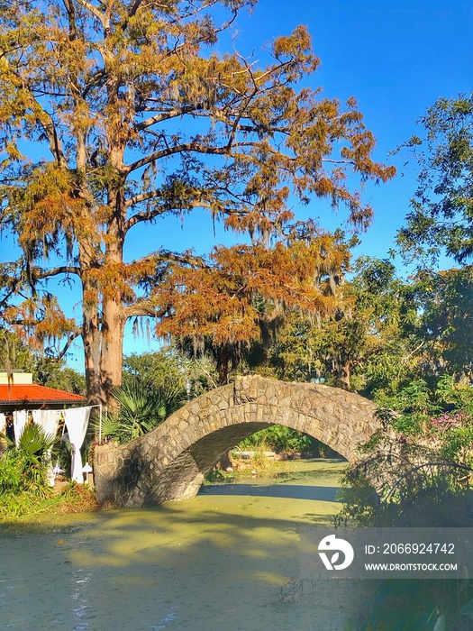 Beautiful Langles Bridge (built in 1902) and old live oak trees in the City Park, New Orleans. The Park holds the world’s largest collection of mature live oak trees, some older than 600 years in age.