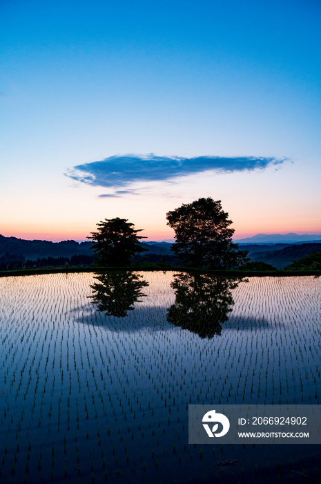 新潟　星峠の棚田