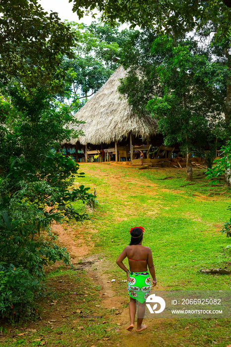 Embera Ethnic Group Community, Chagres River, Chagres National Park, Colon Province, Panama, Central America, America