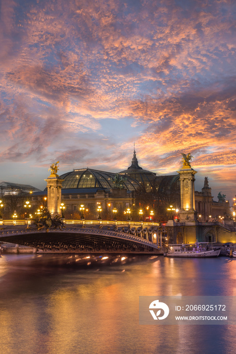 Bridge of the Alexandre III, Paris