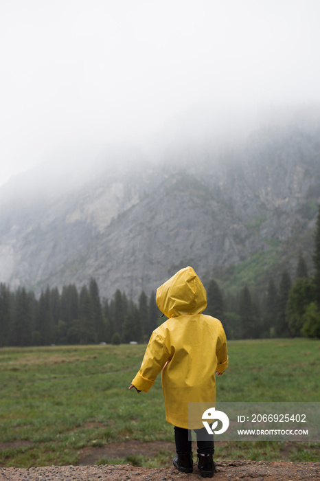 Rear view of female toddler wearing yellow raincoat in front of misty mountain, Yosemite National Park, California, USA