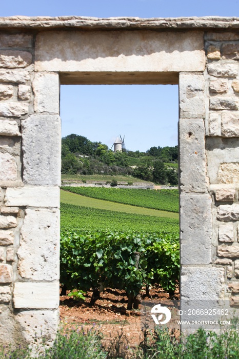 Landscape with Chassagne Montrachet vineyards in Burgundy, France