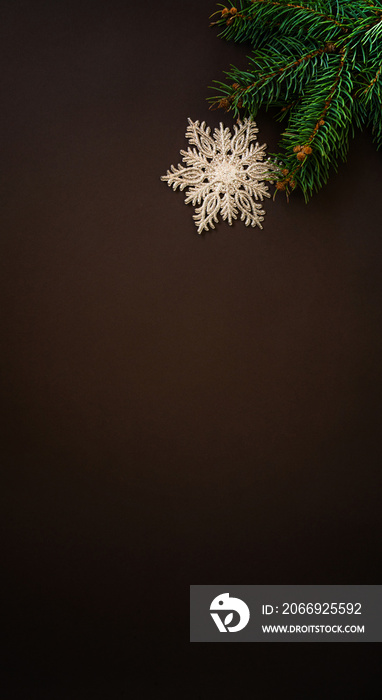 Christmas and New Year holidays background. Fresh fir branches and shine snowflaks on dark grunge background. Winter concept. Flat lay. Copy space for your text.