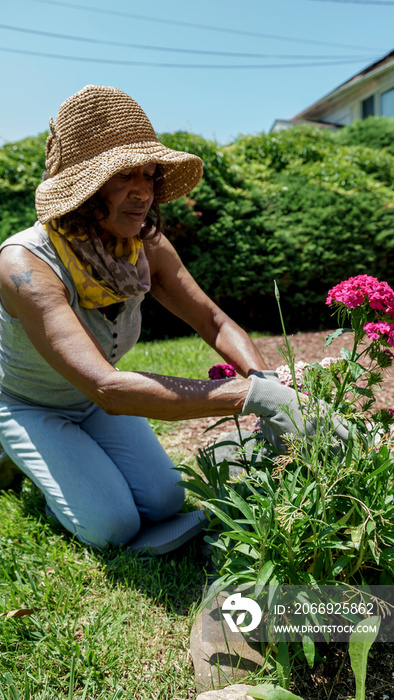 Senior woman gardening