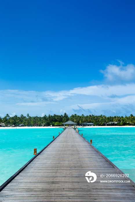 beach and tropical sea . nature background