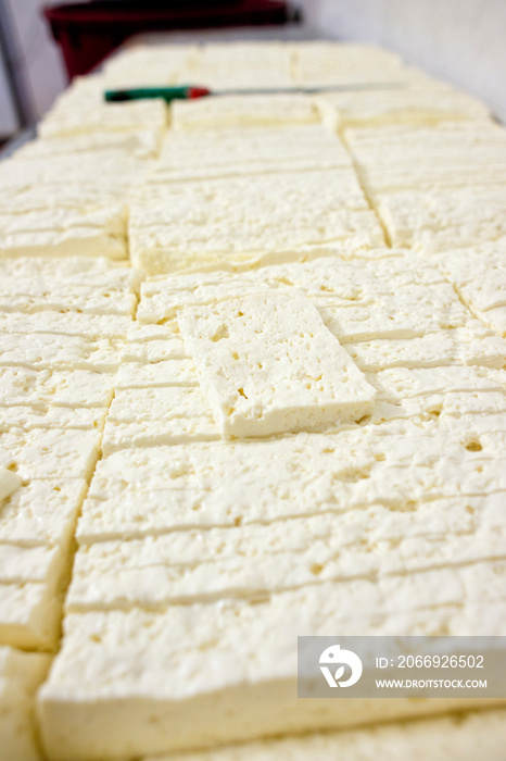 preparation of casizolu cheese in Sardinia