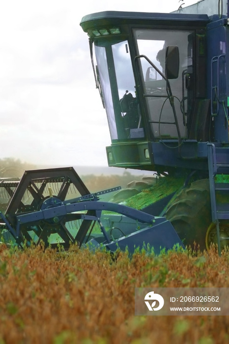 harvester in a soybean field, Campo Grande, Mato Grosso do Sul, Brazil