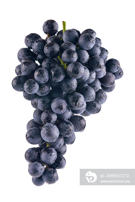 Bunch of black grapes isolated on white background