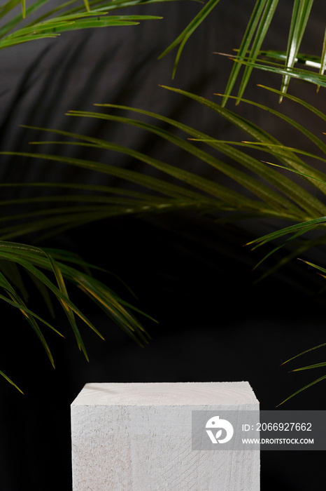 Cosmetics product advertising stand. Exhibition white podium on black background with palm leaves and shadows. Empty pedestal to display product packaging. Mockup