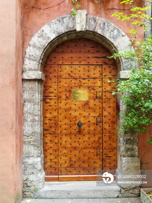 Big ancient sturdy door with nail ornaments, with a stone arch, empty bronze plaque and foliage