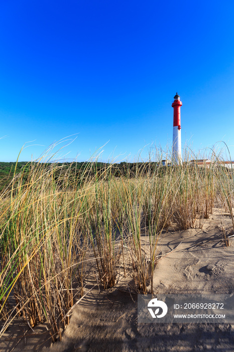 Phare de la Coubre, prés de la palmyre sur la cote sauvage en charente maritime