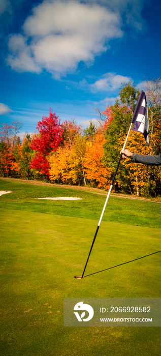 golfer putting in the golf flag