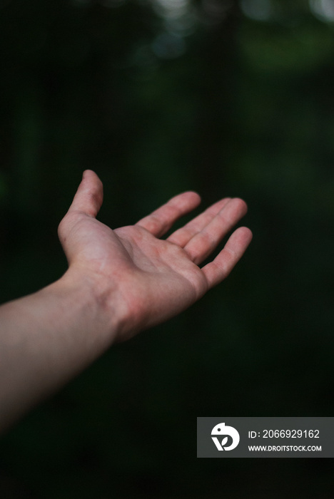 View on hand on green background