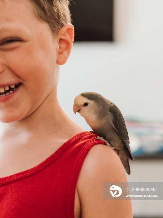 CHILD WITH HIS PET. AGAPORNI BIRD