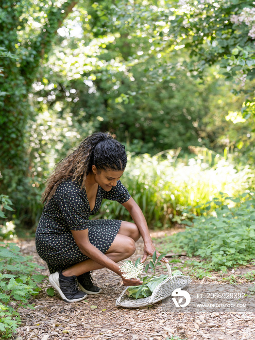 Woman putting flower into basket