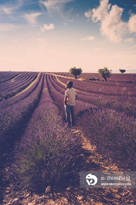 One standing man look the lavender field around him - human and beautiful travel scenic nature outdoors - france provence valensole location - fragrance and parfums production business