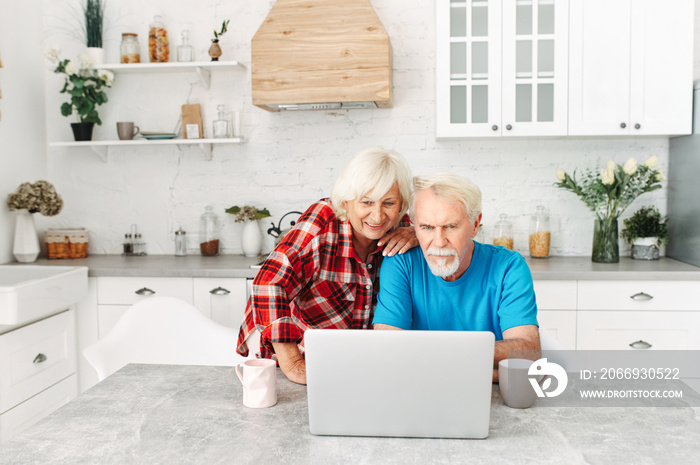 Senior couple with laptop at home